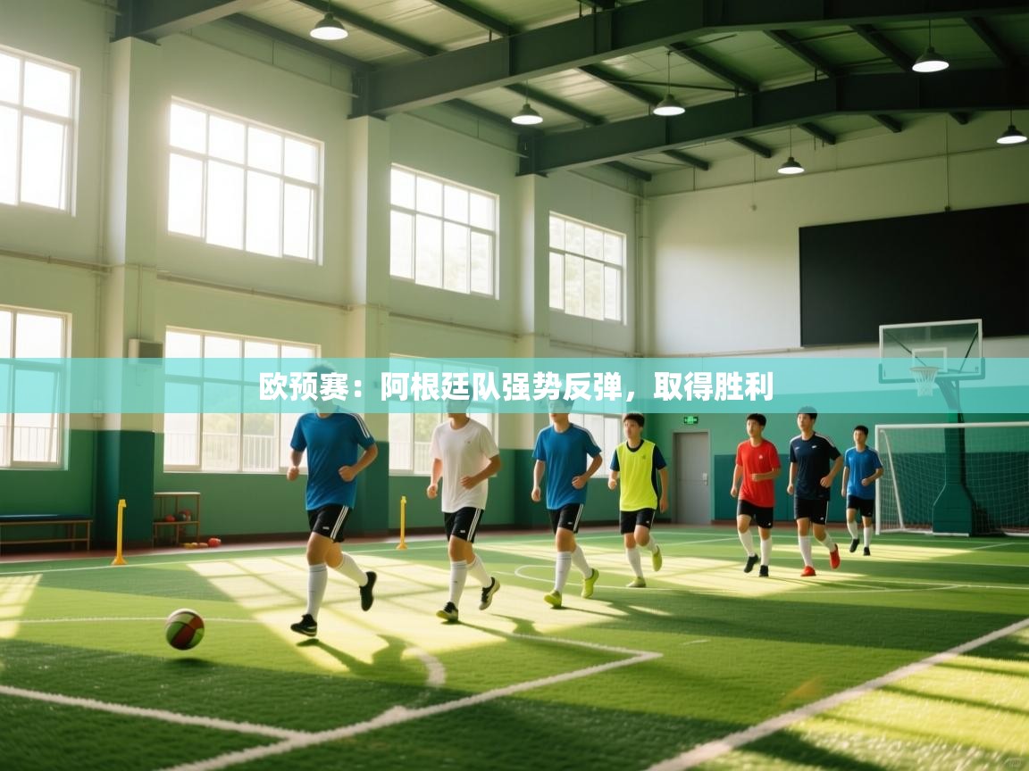 开云体育推送通知设置-欧预赛:阿根廷队强势反弹,取得胜利 第1张