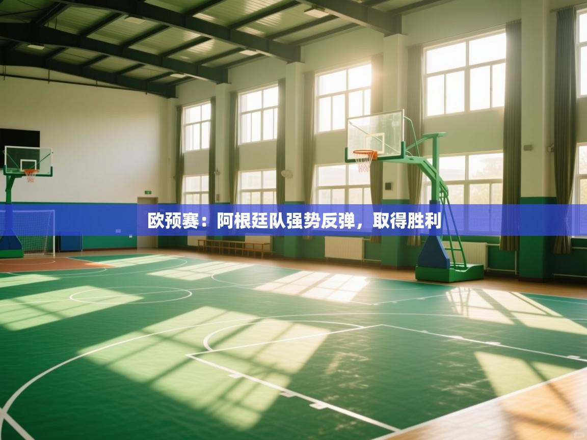 开云体育推送通知设置-欧预赛:阿根廷队强势反弹,取得胜利 第3张