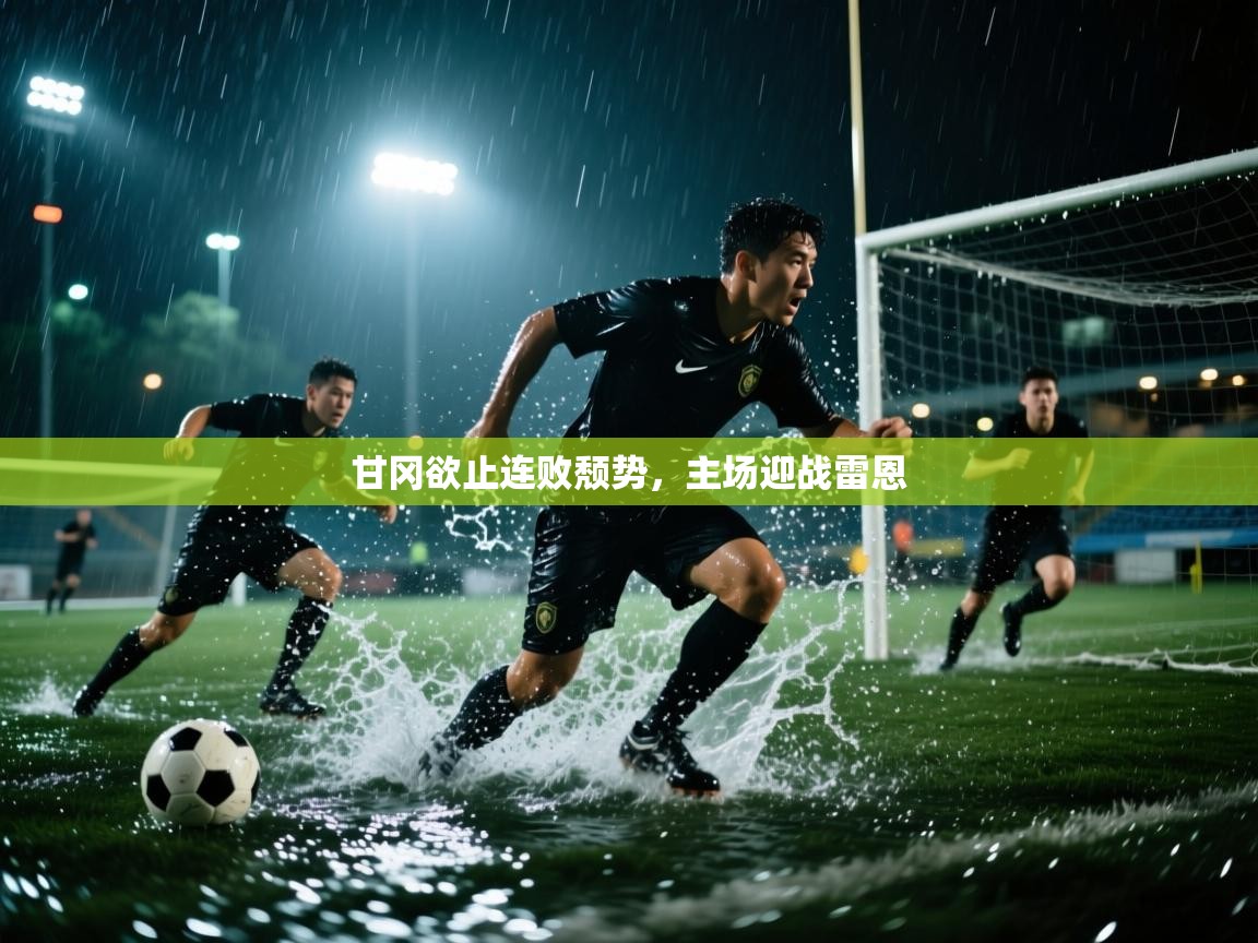 开云·体育kaiyun官方网站_kaiyun sports-甘冈欲止连败颓势,主场迎战雷恩 第4张